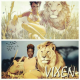Illustration for article titled This Actress Really, Really Wants To Play Vixen In A DC Movie